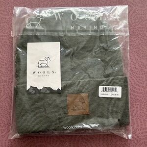 Woolx Merino Wool Baylor Beanie in Green